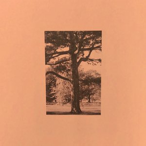 美女按摩偷拍视频一区二区
